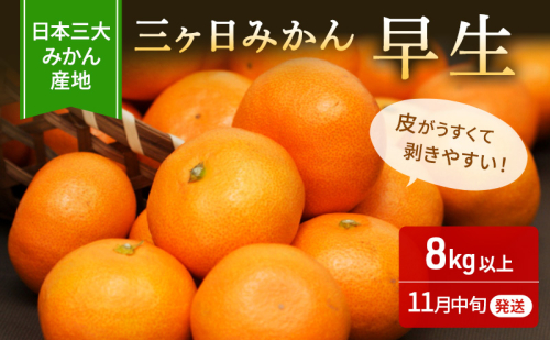 三ヶ日みかん 早生 8kg S～L 優品 11月中旬より順次発送 みかん ミカン 蜜柑 早生みかん 三ヶ日 果物 くだもの フルーツ 旬の果物 旬のフルーツ 柑橘 柑橘類 糖度 静岡 静岡県 浜松市 【配送不可：離島】 148529 - 静岡県浜松市