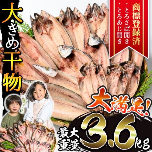No.406 ＜選べる重量＞大きめ干物詰合せ＜合計2kg～3.6kg！＞ 干物 セット 詰め合わせ ひもの 魚介類 魚 おかず おつまみ お楽しみ 【みのだ食品】 1488899 - 鹿児島県日置市