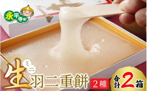 12/19 あさイチ テレビ放送 ミニ生羽二重餅 2種セット（しろ・京きなこ入り）[A-011005] / 菓子 きなこ 羽二重餅 はぶたえもち 福井名物 スイーツ 羽二重餅セット 羽二重餅詰合せ 餅 もち 福井 永平寺 マエダセイカ はぶたえ 羽二重餅 羽二重 和菓子 生菓子 ギフト プレゼント あさいち