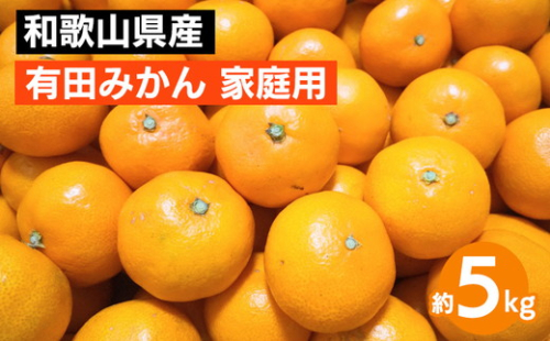 和歌山県産 有田みかん 約5kg 家庭用 ※2025年10月中旬～2026年1月下旬頃に順次発送予定 ※北海道・沖縄・離島への配送不可 149026 - 和歌山県美浜町