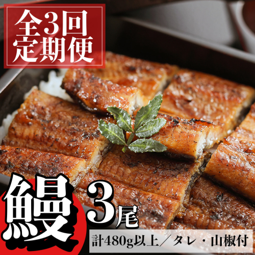 <定期便・計3回(連続)>うなぎ蒲焼・大(有頭)(3尾・計480g以上✕3回、タレ、山椒付) 1491701 - 鹿児島県肝付町