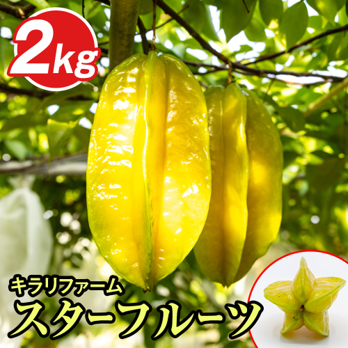 【2025年11月から順次発送】キラリファーム　スターフルーツ　2kg 1491967 - 沖縄県南風原町