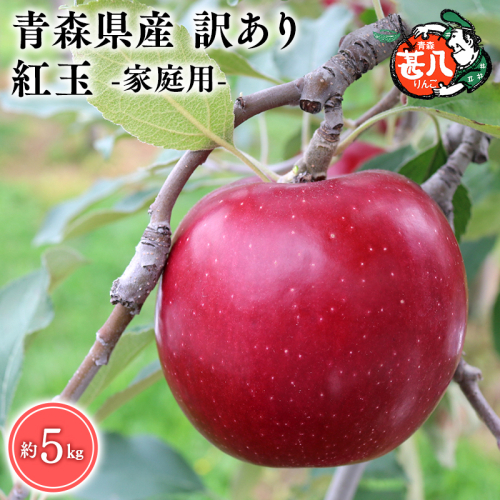 １０月発送　訳あり　家庭用　甚八りんご紅玉５kg　【マルジンサンアップル　10月　青森県産　平川市　りんご　紅玉　5kg　訳あり　家庭用】 1492872 - 青森県平川市