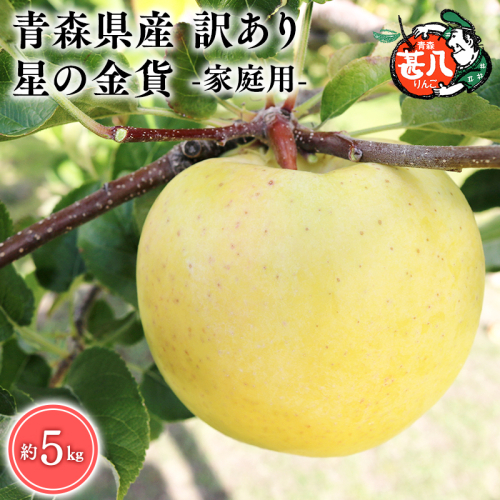 １１月発送　訳あり　家庭用　甚八りんご星の金貨5kg　【マルジンサンアップル　11月　青森県産　平川市　りんご　星の金貨　5kg　訳あり　家庭用】 1492878 - 青森県平川市