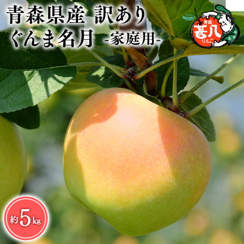 １１月発送　訳あり　家庭用　甚八りんごぐんま名月5kg　【マルジンサンアップル　11月　青森県産　平川市　りんご　ぐんま名月　5kg　訳あり　家庭用】 1493024 - 青森県平川市