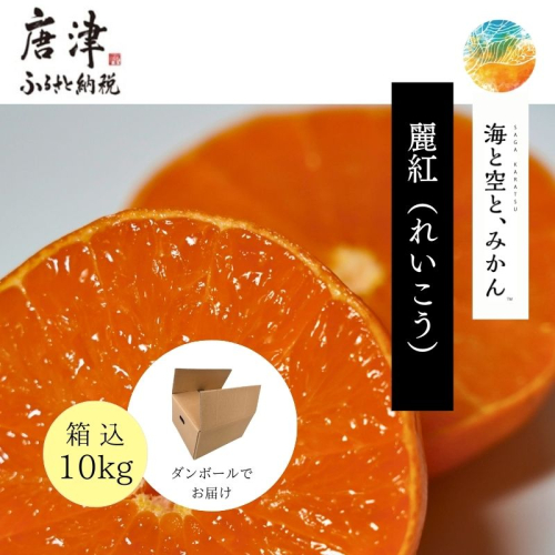 『先行予約』【令和8年1月中旬発送】唐津産ハウス育ち「麗紅」箱込10kg 〜海と空と、みかん〜 ミカン 果物 フルーツ 柑橘 ギフト 1493027 - 佐賀県唐津市