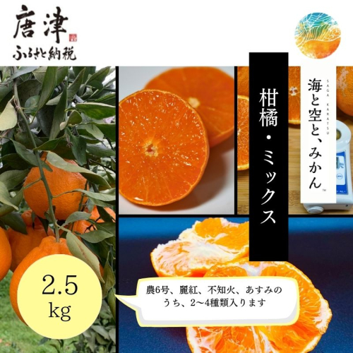 『先行予約』【令和8年1月中旬発送】唐津産ハウス育ち柑橘セット 2.5kg 手提げ箱 (麗紅・あすみ・不知火・農6号の中から2〜4種) 品種おまかせ 〜海と空と、みかん〜 ミカン フルーツ 柑橘 ギフト 1493030 - 佐賀県唐津市