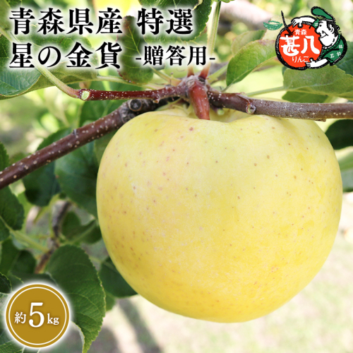 １１月発送　特選　甚八りんご星の金貨5kg　【マルジンサンアップル　11月　青森県産　平川市　りんご　星の金貨　5kg　特選　贈答用】 1493346 - 青森県平川市
