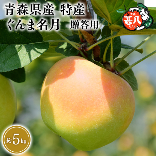 １１月発送　特選　甚八りんごぐんま名月５kg　【マルジンサンアップル　11月　青森県産　平川市　りんご　ぐんま名月　5kg　特選　贈答用】 1493352 - 青森県平川市