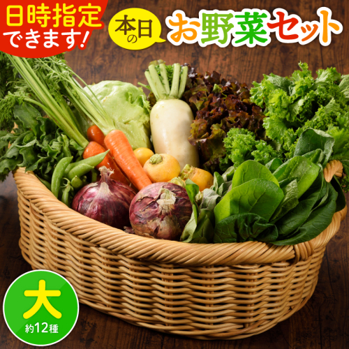 日時指定OK！本日のお野菜セット 〈大サイズ/約12種〉 4人以上用 1500141 - 宮崎県綾町