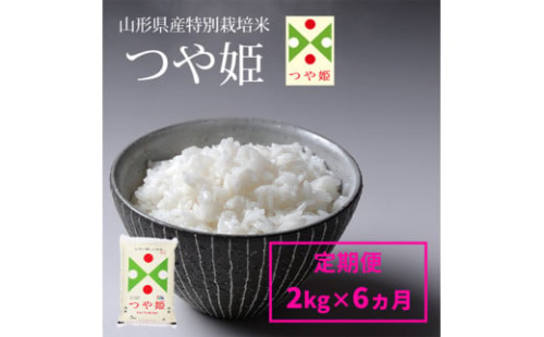 令和7年産【定期便6回】山形産 特別栽培米 つや姫 2kg×6ヶ月(計12kg)  FZ24-304 1500144 - 山形県山形市