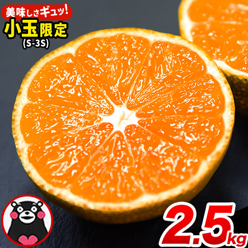 訳あり みかん 小玉みかん くまもと小玉みかん 2.5kg (2.5kg×1箱) 秋 旬 不揃い 傷 ご家庭用 SDGs 小玉 たっぷり 熊本県 産 S-3Sサイズ フルーツ 旬 柑橘 長洲町 温州みかん《2025年10月中旬-12月末頃出荷》 1500886 - 熊本県長洲町