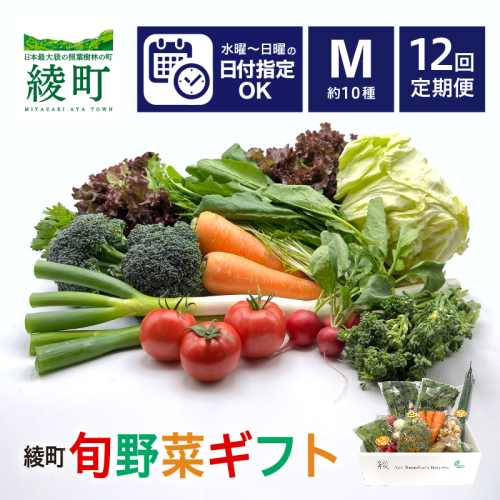 【12回定期便】綾町旬野菜ギフト〈 Mサイズ/約10種 〉2～3人分 1503524 - 宮崎県綾町