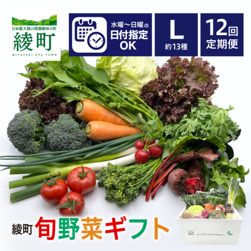 【12回定期便】綾町旬野菜ギフト〈 Lサイズ/約13種 〉4人以上分 1503606 - 宮崎県綾町