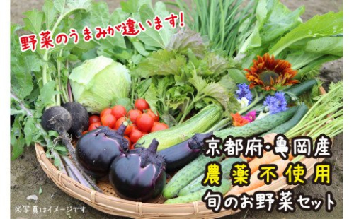 【12回定期便】京都府・亀岡産 自然農法＆農薬を使わずに育てた体も心も喜ぶ、かたもとオーガニックファームの季節のお野菜セット 毎回10～20品目　※離島への発送不可 150367 - 京都府亀岡市