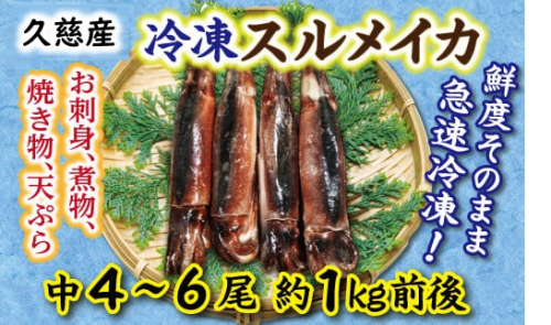 【久慈港水揚げ】冷凍スルメイカ中4~6本(約1kg前後) 1504401 - 岩手県久慈市