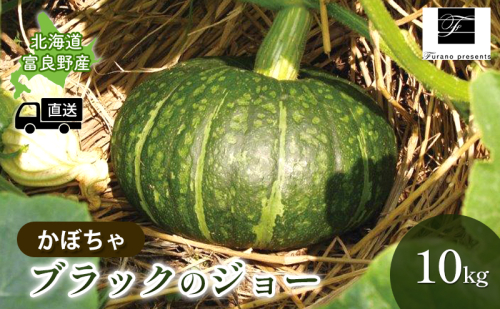 【2025年9月~発送】北海道 富良野市 かぼちゃ ブラックのジョー 10kg ふらの 野菜 カボチャ 数量限定 (フラノプレゼンツ) 1504614 - 北海道富良野市