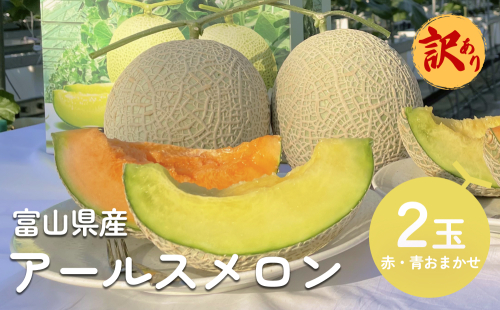 ＜先行予約＞【訳あり】富山県産 アールスメロン（おまかせ計2個） ＜2025年7月以降順次発送＞ 富山県 氷見市 メロン めろん 果物 くだもの フルーツ 1505039 - 富山県氷見市