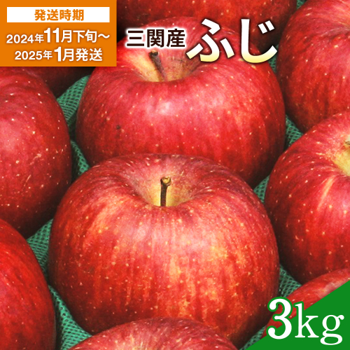 【2025年11月下旬〜2026年2月発送】三関産 りんご ふじ 3kg サンふじ 濃厚 で ジューシー ふるさと納税 りんご 旬 ふじりんご 果物 フルーツ 秋田県 三関【三関ゆめ蔵ぶ直売所】[L2604] 1506330 - 秋田県湯沢市