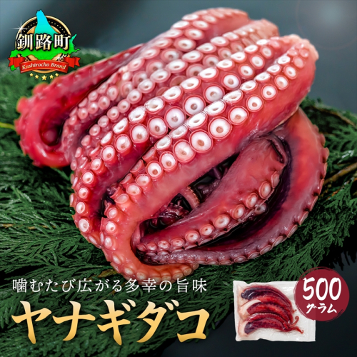 ヤナギダコ500ｇ【産地直送】プリプリ食感！釧路町昆布森産 ヤナギダコ｜噛むたびに広がる多幸の旨味 お刺身 鍋 煮物に最適 栄養満点 贈答用 にも最適 漁師直送 鮮度抜群 蛸 タコ たこ 足 刺身 たこやき たこ唐揚げ 冷凍  北海道 釧路町 釧路超 特産品 1507567 - 北海道釧路町