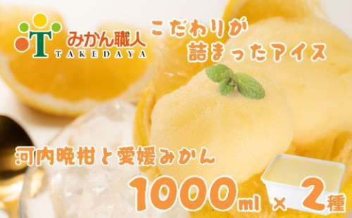 みかん職人が作った柑橘アイス1000ml×2種(愛媛みかん・河内晩柑) 150820 - 愛媛県愛南町