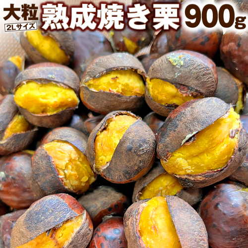 【 谷口農場 】 大粒 熟成 焼き栗 900g ( 2Lサイズ ) 300g × 3袋 完熟 栗 くり クリ 栗ごはん 果物 フルーツ　数量限定 [EC003ci] 1508527 - 茨城県筑西市
