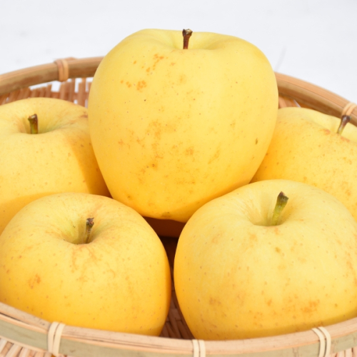 【訳あり】高級りんご【はるか】約5kg（12～20玉）【2025年産・先行予約】★2025年12月上旬～2026年1月上旬頃まで発送予定★ 青森県三戸町産 150928 - 青森県三戸町