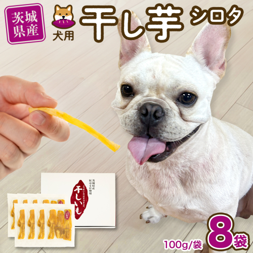 【 塚田商店 】 犬用 干し芋 シロタ 100g × 8袋 ドックフード ペットフード 犬 国産 無添加 さつまいも 芋 おやつ 和菓子 いも イモ 工場直送 マツコの知らない世界 [BD032ci] 1509481 - 茨城県筑西市
