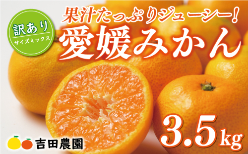 先行予約 訳あり 愛媛みかん 3kg 7000円 愛媛 みかん 温州みかん こたつ みかん mikan 蜜柑 ミカン 家庭用 産地直送 国産 農家直送 糖度 期間限定 数量限定 特産品 ゼリー ジュース アイス 人気 限定 甘い フルーツ 果物 柑橘 先行 事前 予約 受付 ビタミン 美味しい おいしい サイズ ミックス 吉田農園 愛南町 愛媛県 1509574 - 愛媛県愛南町