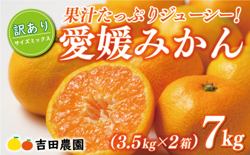 先行予約 訳あり 愛媛みかん 10kg 18000円 愛媛 みかん 温州みかん こたつ みかん mikan 蜜柑 ミカン 家庭用 産地直送 国産 農家直送 糖度 期間限定 数量限定 特産品 ゼリー ジュース アイス 人気 限定 甘い フルーツ 果物 柑橘 先行 事前 予約 受付 ビタミン 美味しい おいしい サイズ ミックス 吉田農園 愛南町 愛媛県 1509654 - 愛媛県愛南町