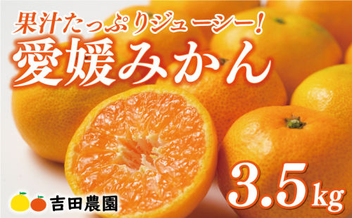 先行予約 愛媛みかん 3kg 9000円 愛媛 みかん 温州みかん こたつ みかん mikan 蜜柑 ミカン 家庭用 贈答用 ギフト プレゼント お歳暮 産地直送 国産 農家直送 糖度 期間限定 数量限定 特産品 ゼリー ジュース アイス 人気 限定 甘い フルーツ 果物 柑橘 先行 事前 予約 受付 ビタミン 美味しい おいしい 吉田農園 愛南町 愛媛県 1509718 - 愛媛県愛南町