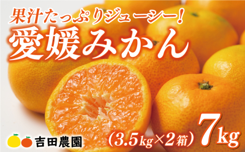 先行予約 愛媛みかん 10kg 24000円 愛媛 みかん 温州みかん こたつ みかん mikan 蜜柑 ミカン 家庭用 贈答用 ギフト プレゼント お歳暮 産地直送 国産 農家直送 糖度 期間限定 数量限定 特産品 ゼリー ジュース アイス 人気 限定 甘い フルーツ 果物 柑橘 先行 事前 予約 受付 ビタミン 美味しい おいしい 吉田農園 愛南町 愛媛県 1509765 - 愛媛県愛南町