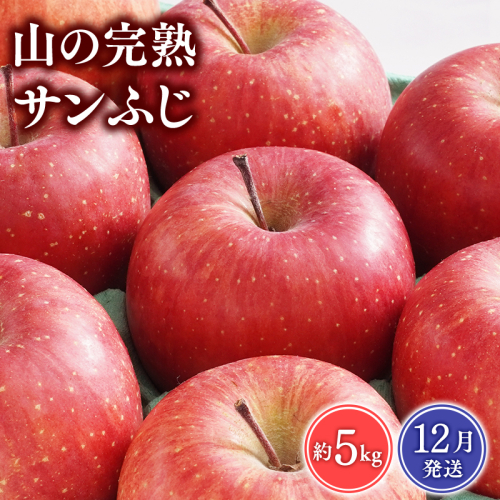 【2025年12月発送】 吹田りんご園 山の完熟サンふじ約5kg 【吹田りんご園・青森りんご・平川市広船産・12月】 1511073 - 青森県平川市