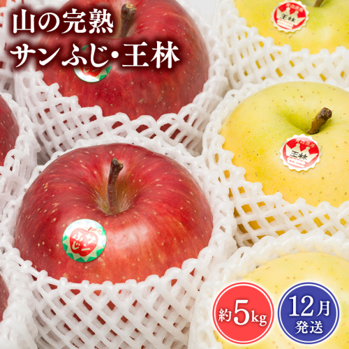 【2025年12月発送】  吹田りんご園　山の完熟サンふじ・王林約5kg【吹田りんご園・青森りんご・平川市広船産・12月】 1511076 - 青森県平川市