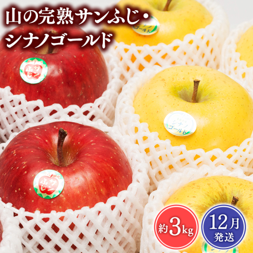 【2025年12月発送】 吹田りんご園 山の完熟サンふじ・シナノゴールド約3kg 【吹田りんご園・青森りんご・平川市広船産・12月】 1511084 - 青森県平川市