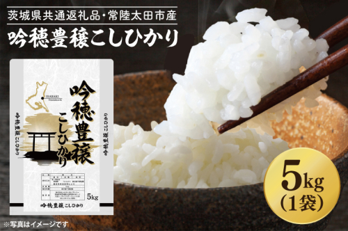 ＜令和6年産＞吟穂豊穣こしひかり 5kg 精米 特別栽培 (茨城県共通返礼品・常陸太田市産) コシヒカリ こしひかり 米 ごはん コメ お米 白米 国産 茨城県産
 1511599 - 茨城県大洗町