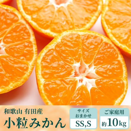 【ご家庭用】和歌山有田みかん約10kg(SS、Sサイズ)【美浜町】〇 ※北海道・沖縄・離島への配送不可 ※2025年11月上旬～2026年1月下旬頃に順次発送予定 151171 - 和歌山県美浜町