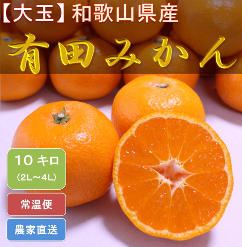 [大玉]和歌山県産 有田みかん10kg（2L～4Lサイズおまかせ）ひとつひとつ手選別で厳選！生産者から直送 ※2025年11月下旬頃より順次発送予定 151177 - 和歌山県美浜町