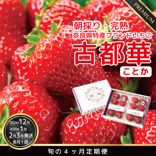 定期便 先行予約 数量限定 古都華 【12・1・2・3月発送4ヶ月定期便】奈良県特産 高級ブランドいちご「古都華」旬の４ヶ月定期便 // いちご イチゴ 古都華 フルーツ 果物 旬 限定 ブランド 定期便 贈答用 ギフト 化粧箱 1512487 - 奈良県広陵町