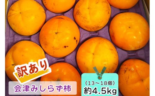 会津身しらず柿 (訳あり・家庭用) 約4.5kg (13個から20個入り) 渡部柿園産｜会津若松 訳アリ 果物 フルーツ 柿 みしらず かき カキ 会津身不知柿 令和7年 2025年 旬 [0937]