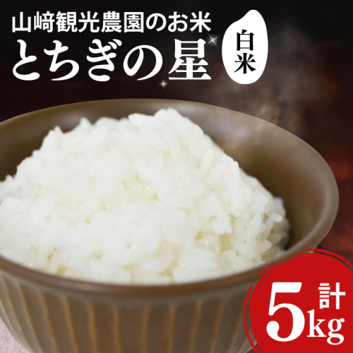 米 5kg 白米 「とちぎの星」 ＼先行予約／ 山崎観光農園 栃木県 益子町 ふるさと納税 お米 とちぎの星 白米 精米 5キロ 令和7年産 先行予約 10月配送 (AU023) 1516799 - 栃木県益子町