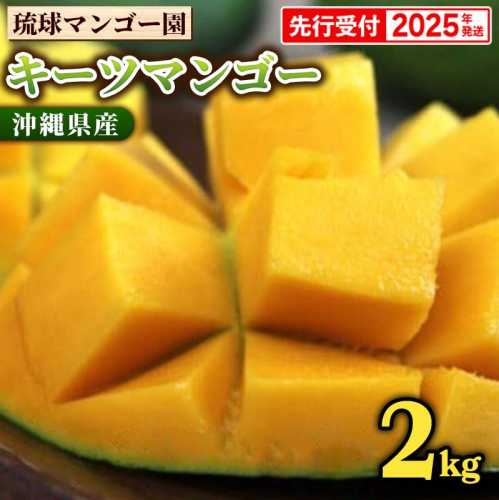 【先行受付】【2025年発送】琉球マンゴー園のキーツマンゴー約2kg 1516856 - 沖縄県八重瀬町