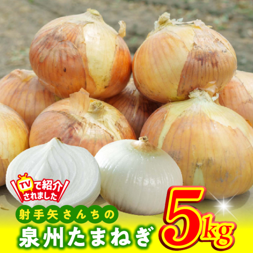 【先行予約】射手矢さんちの泉州たまねぎ 5kg【玉ねぎ タマネギ 玉葱 甘い 野菜 国産 期間限定 オニオン スライス サラダ カレー シチュー バーベキュー BBQ 肉じゃが TVで紹介！】 G1497 1518299 - 大阪府泉佐野市