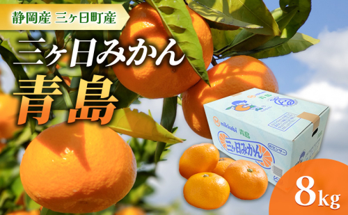 静岡三ヶ日産 青島みかん 8kg/箱 1518566 - 静岡県浜松市