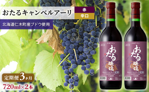 3ヵ月 定期便 赤ワイン720ml×2本「おたるキャンベルアーリ」（赤/辛口） 北海道 仁木町 ブドウ ぶどう グレープ お酒 ワイン 赤 辛口 フルーツ [JA新おたる] 1520436 - 北海道仁木町