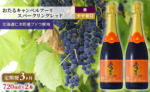 3ヵ月 定期便 赤ワイン720ml×2本「おたるキャンベルアーリ スパークリングレッド」（赤/やや甘口） 北海道 仁木町 ブドウ ぶどう グレープ お酒 ワイン スパークリング 赤 甘口 やや甘口 フルーツ [JA新おたる] 1520437 - 北海道仁木町