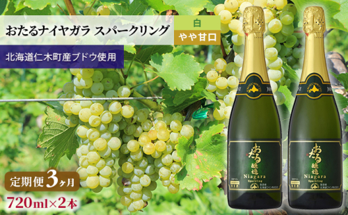 3ヵ月 定期便 白ワイン720ml×2本「おたるナイヤガラ スパークリング」（白/やや甘口） 北海道 仁木町 ブドウ ぶどう グレープ お酒 ワイン スパークリング 白 甘口 やや甘口 フルーツ [JA新おたる] 1520438 - 北海道仁木町