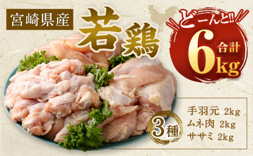 【2025年2月発送】<宮崎県産若鶏3種 計6kgセット> 1520803 - 宮崎県高鍋町