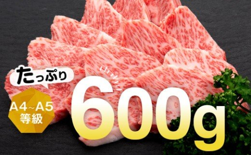 鹿児島黒牛カルビ焼肉用約６００ｇ 15220 - 鹿児島県肝付町