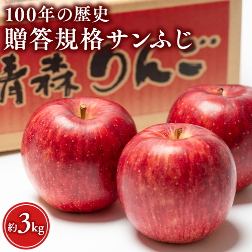 ≪12月発送 ≫ 100年の歴史 贈答規格サンふじ 約3kg【田中農園 青森りんご 平川市産】12月発送  青森 平川 りんご リンゴ 林檎 フルーツ  1522774 - 青森県平川市